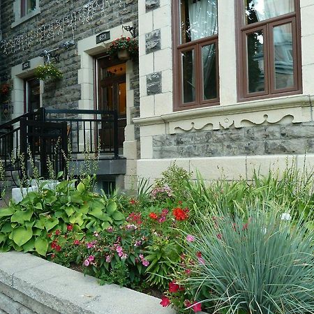 Gite University Bed And Breakfast Montreal Ngoại thất bức ảnh